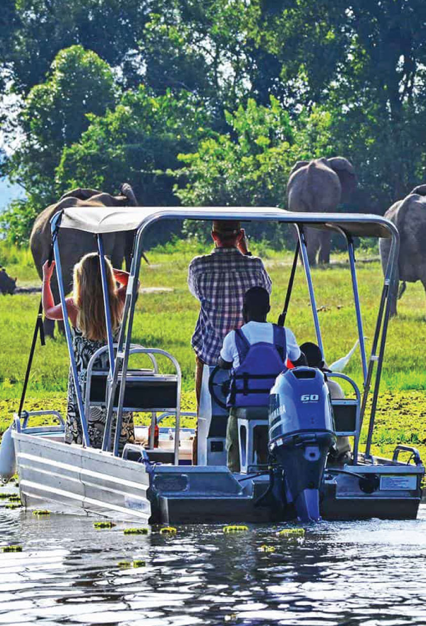 Family Friendly Tours