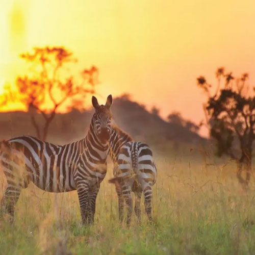 Kidepo National Park