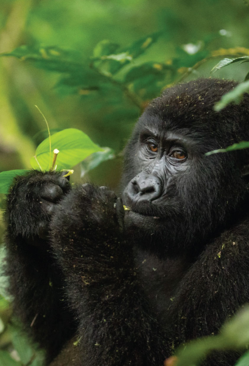 Wild & Adventure Tours