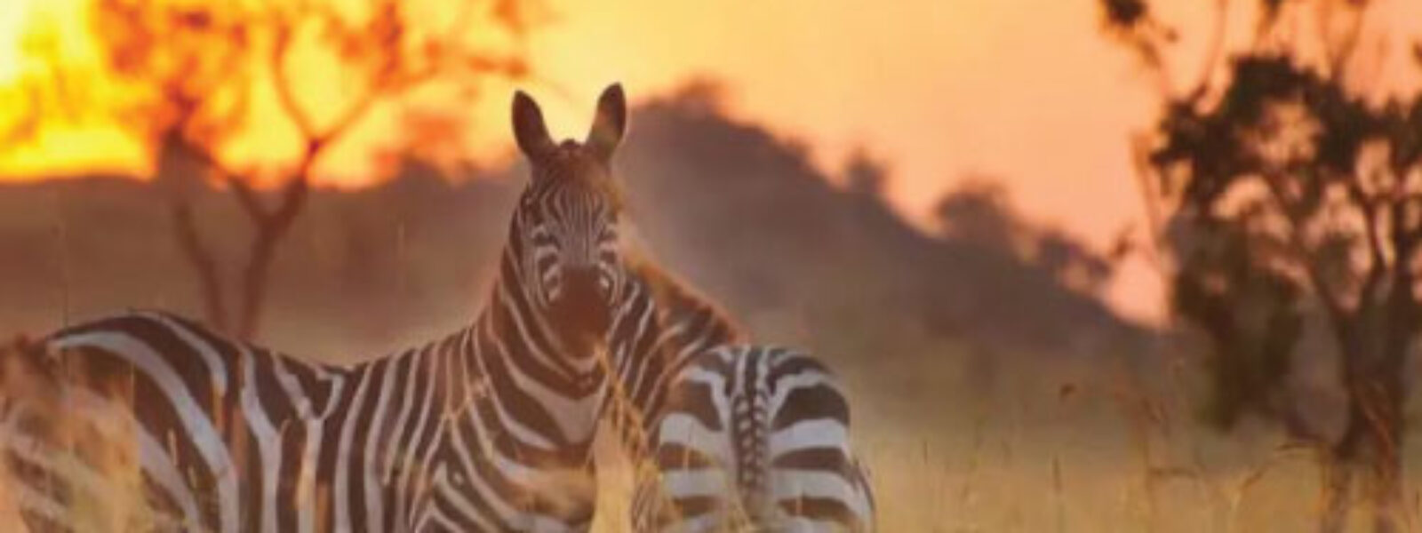 Kidepo National Park